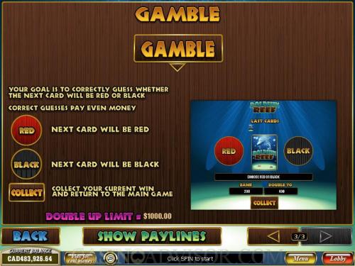 Dolphin Reef payout table