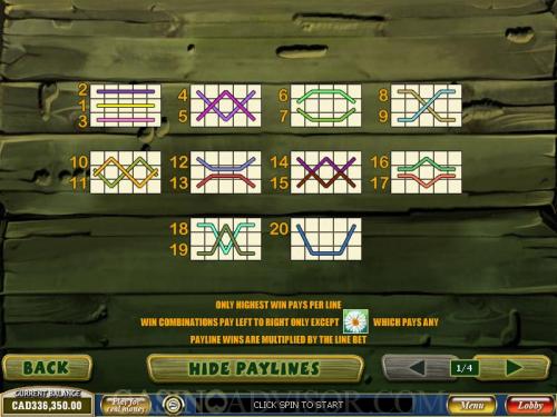 Happy Bugs payout table