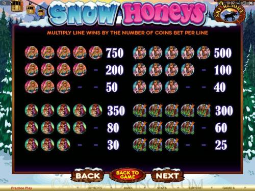 Snow Honeys payout table