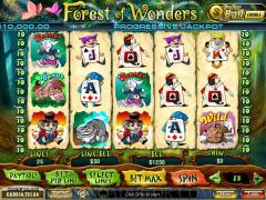 Forest of Wonders screenshot