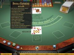 Double Exposure Blackjack screenshot