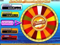 Mega Moolah Summertime screenshot
