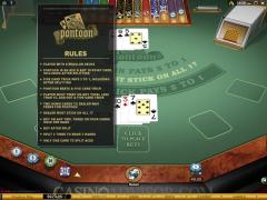 Pontoon Blackjack screenshot