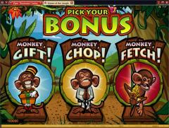 Queen of the Jungle screenshot